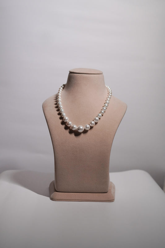 Shell Pearl Graduation Necklace, Single line (White)